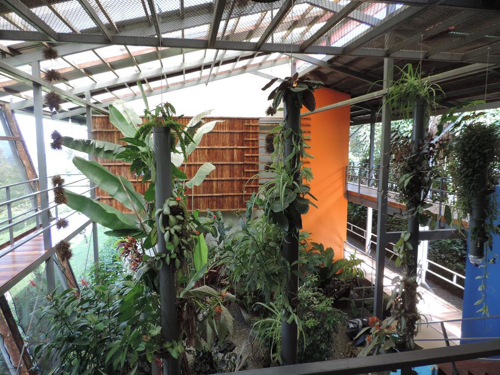 Celeste Mountain Lodge Bijagua Exterior photo